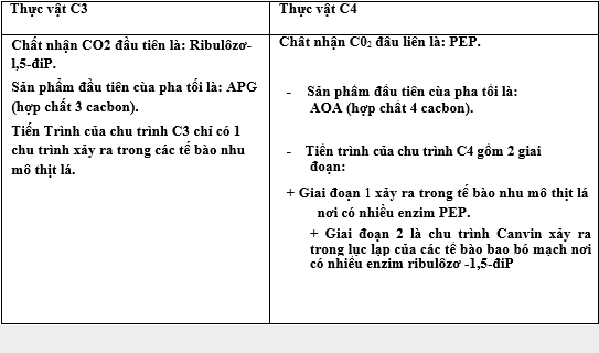 Lý thuyết Quang hợp ở các nhóm thực vật C3 C4 và CAM