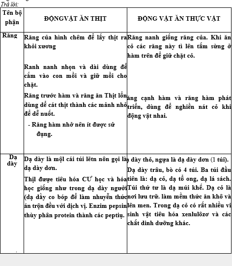 Lý Thuyết Tiêu hóa ở động vật (Tiếp) Lý Thuyết Tiêu hóa ở động vật (Tiếp)