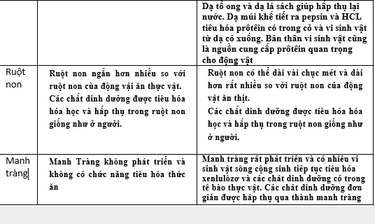 Lý Thuyết Tiêu hóa ở động vật (Tiếp) Lý Thuyết Tiêu hóa ở động vật (Tiếp)