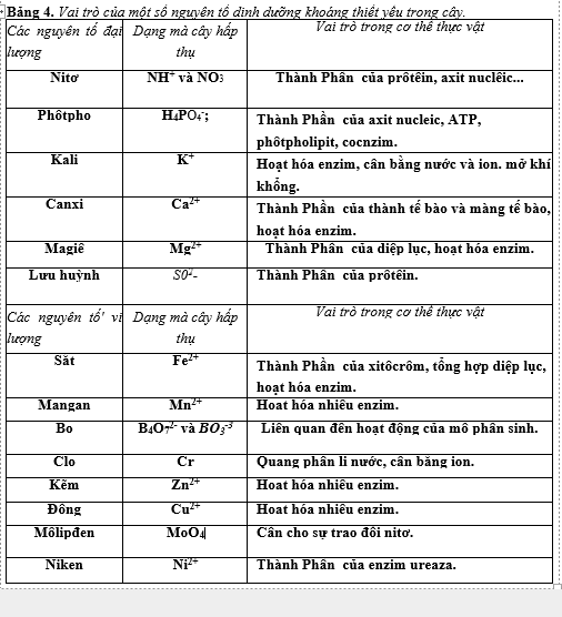 Lý thuyết Vai trò của các nguyên tố khoáng Lý thuyết Vai trò của các nguyên tố khoáng