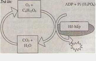 Ôn tập chương I Ôn tập chương I