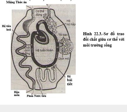 Ôn tập chương I Ôn tập chương I