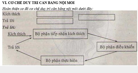 Ôn tập chương I Ôn tập chương I
