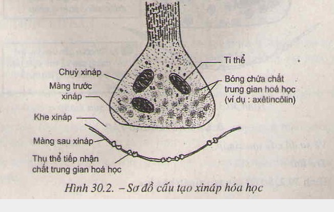 Truyền tin qua xinap Truyền tin qua xinap